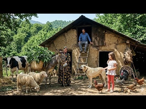 Busy Day in the Village | Bringing Leaves by Donkey & Cooking Delicious Kuku Sabzi