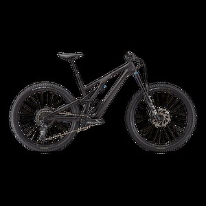 Stumpjumper EVO Expert