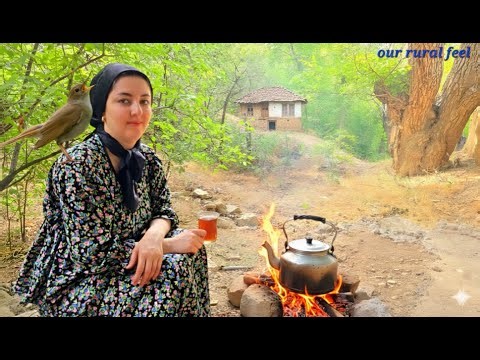 Traditional life of a rural family | natural agriculture |organic farming in the garden |Cherry tree