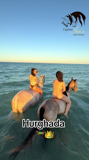 Let's go swimming with the horses #captain_joe_horse_stable #الخيل_من_خيالها #horseriding🐴 #البحر_الاحمر