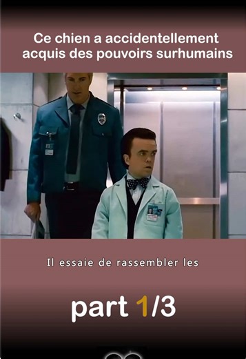 French cinema highlights: best of French films search
