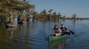 Our next event is the Reelfoot Lake Osprey Festival. July 21, 22 and 23. Reelfoot Lake State Park will offer tours to osprey sighting areas of the lake. Sunrise and sunset tours too! Osprey Art & Photo Contest. See our Visitor Guide for lodging facilities, make your reservations and enjoy a Reelfoot Lake weekend. | Reelfoot Lake Tourism Council