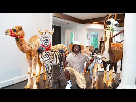 I Turned My House Into A Petting Zoo