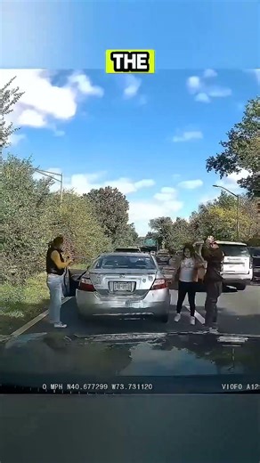 Insurance Scammers Get Funny Instant Karma