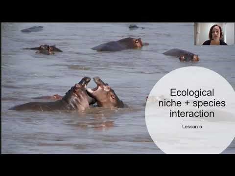 Ecological niche and species interaction (Part 1)