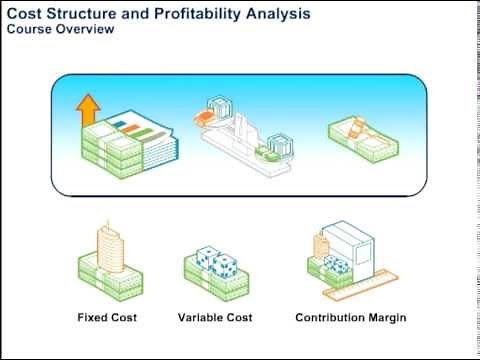 Cost Structure and Profitability Analysis