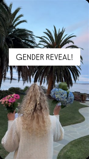 Kemmer Tonne on Instagram: "We are having a… 🩷🩵 #genderreveal #pregnancylife #pregnant #genderannouncement #pregnancy"