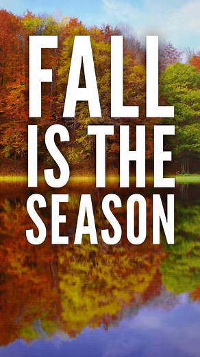 1.2K views · 57 shares | What a home! Practically new, built in 2024 & situated on 4 acres, you'll surely have your own peace & quiet here. No restrictions & close to the horse trails. Sail Home Realty, Let us help you navigate home ⛵️ Call or text anytime, 352-207-6227. | Nadeene Stuart-Horak | Facebook