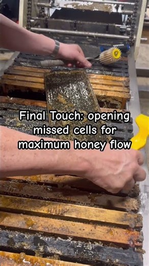 Open the missed cells