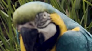 40 reactions | “I always feel like somebody’s watching me!”  As an...