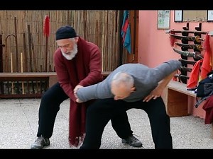 M° Chang Dsu Yao 掤 peng, 捋 lu, 挤 ji, 按 an