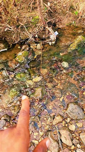 The Power Of Running Water...the more you know #water#healthemind #runningwater #themoreyouknow💫