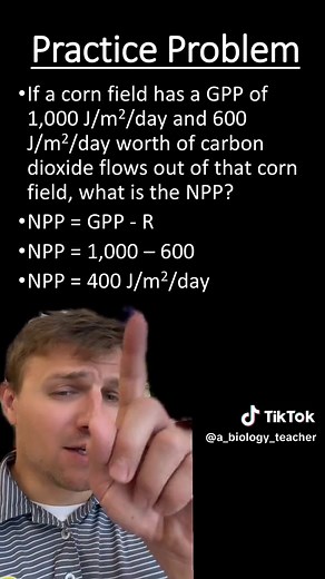 Understanding Gross Primary Production and Net Primary Production