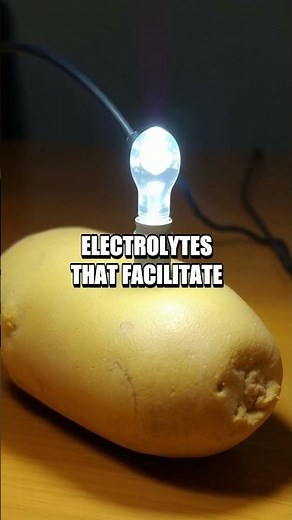 The Potato Power Experiment: Battery Boosted by Vegetables