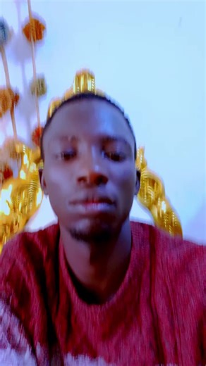 STEVE DECO WORLD (@steve.deco.world)’s videos with original sound - raj viking2