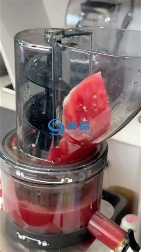 Powerful Commercial Juicer, Reliable, and Built to Last