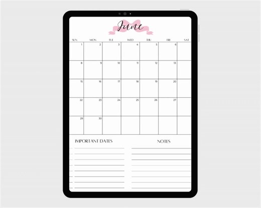 2025 Printable Calendars, 2025 Year at a Glance Calendar, 2025 Calendars, Blush Coquette Aesthetic - Etsy UK