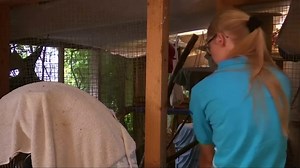 Shelter rescues endangered squirrels