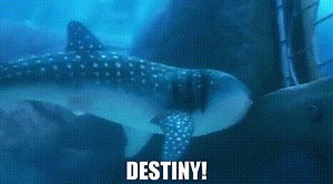 Destiny!