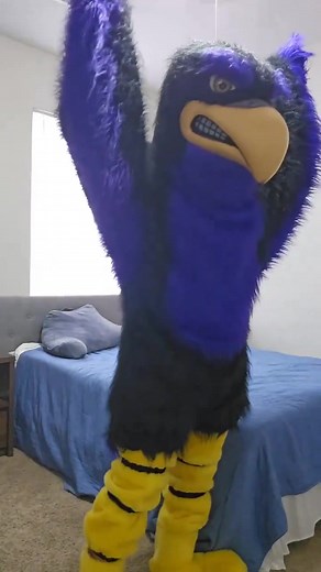 Eagle Mascot Costume: Perfect for Events and Sports
