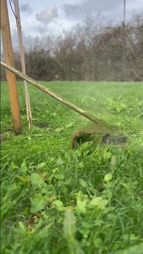 The Stihl fs-55r perfect circle. ⭕️