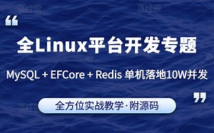 【C#/.NET教程】全Liunx平台开发之MySQL+EFCore+Redis单机落地10W并发详解教程（ASP.NET Core/sql/全栈）B0333