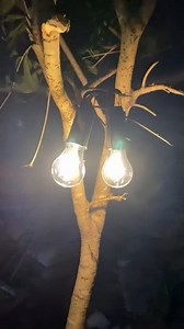 12K views · 21 reactions | Solarpower Light #light #solarlight | Gegets | Facebook