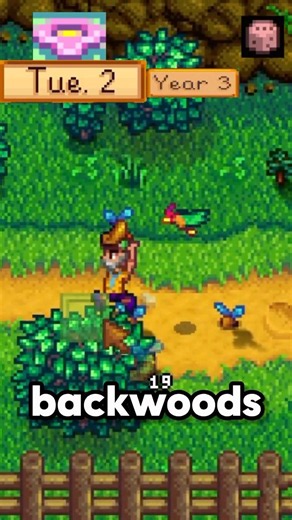 1Million SAP Challenge(Day226)-Stardew Valley 1.6 #stardewvalley #letsplaystardewvalley