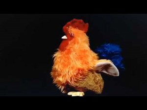 Baby Einstein First Look Video - Baby Bach