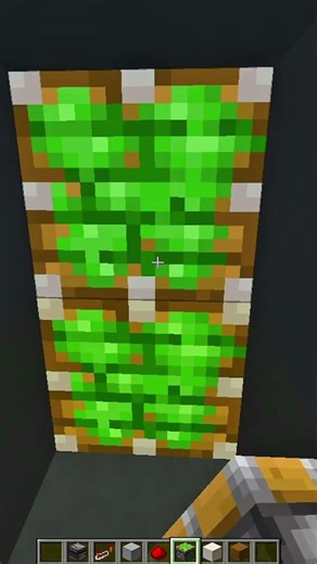 Minecraft Secret Door! #shorts #minecraftshorts
