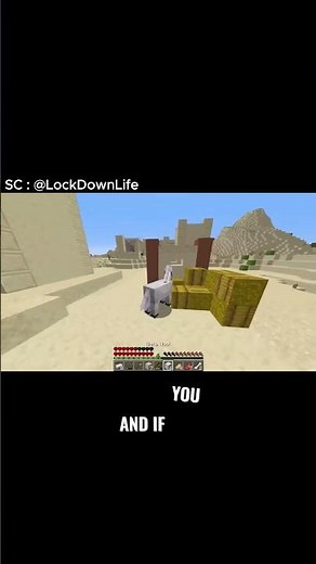 3 Epic Goals I Set for 100 Days as a Minecraft Shapeshifter!