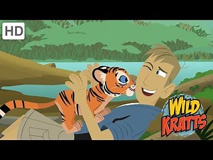 Wild Kratts - Beautiful Wild Birds