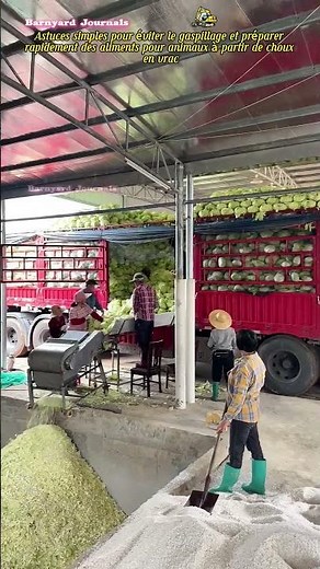 Astuces simples pour éviter le gaspillage et préparer rapidement des aliments pour animaux à partir