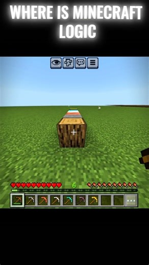 MINECRAFT LOGIC ? #minecraft #build #gameplay #funny #memes