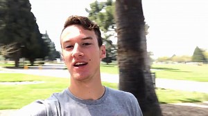 📽️ The Iconic Palm Drive