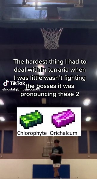 How to Pronounce Terraria: Never Forget These Words