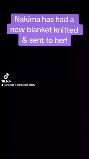 52K views · 2.3K reactions | Nakima is the luckiest chimp to have such wonderful people send her gifts! This is her new blanket, knitted & posted to her by Susan - thank you  Watch & enjoy, give us a like/follow  | Wales Ape and Monkey Sanctuary | Facebook