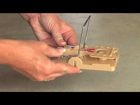 Victor Power Kill Rat Trap Instructional Video