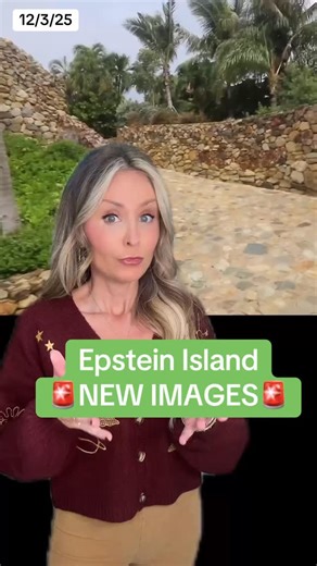 Lisa Remillard on Instagram: "The Democrats on the Oversight Committee released several never-before-seen videos and pictures from the federal government of convicted sex trafficker Jeffrey Epstein’s private island compound in the US Virgin Islands. Some of the images are very generic and show the opulent lifestyle he led but some of the other images are very bizarre. This video explains. #jeffreyepstein #epsteinisland #presidenttrump"