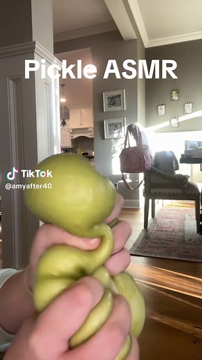 Giant Squishy Pickle: The New Fidget Sensation!