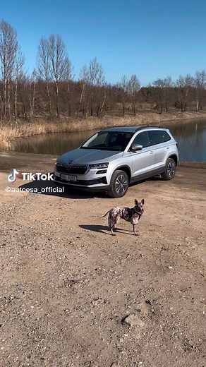 autoesa_official na TikTok