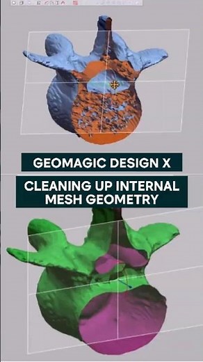 The Fast Way to Cleanup Internal Mesh Geometry | Geomagic Design X
