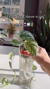 13K views · 8.8K reactions | Watch this before you toss that wine...