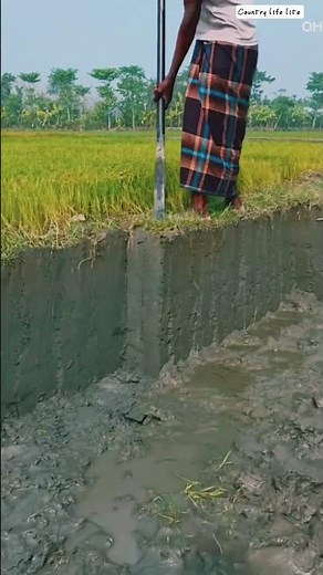 🌱⛏️ Long-Handle Steel Spade Demonstrating Uniform Mud Channel Leveling