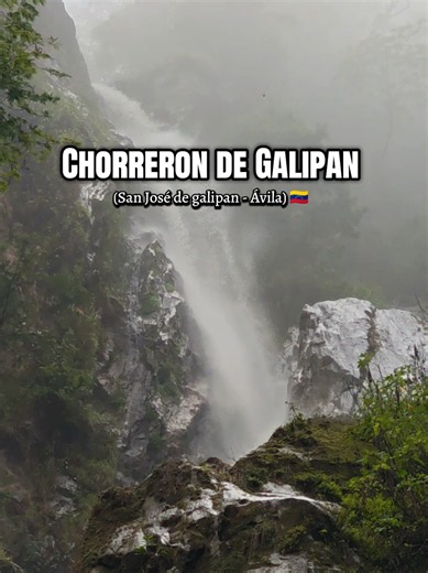 📍El Chorrerón de Galipán, también conocido como el Río Escondido, es una de las cascadas más altas e imponentes de la cara norte del Parque Nacional Waraira Repano El Ávila. Ubicado en las inmediaciones del pintoresco poblado de San José de Galipán, este salto es un verdadero oasis de aguas cristalinas y heladas. 📍*El Sendero🥾💪🏻: La aventura comienza en el pueblo de San José, El trayecto hacia el salto implica descender a través de un denso bosque nublado y zonas de camburales El camino exi