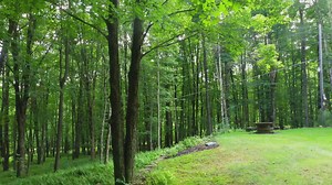 How to Win Big in PUBG: Battlegrounds