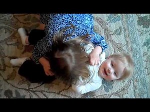 Harper, baby, zerbert and dogs