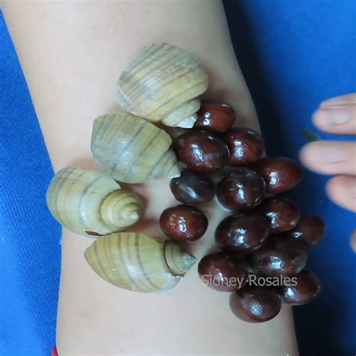 Help Removing And Picking a Ticks #Ticks #Remove #3100 | Sidney Rosales