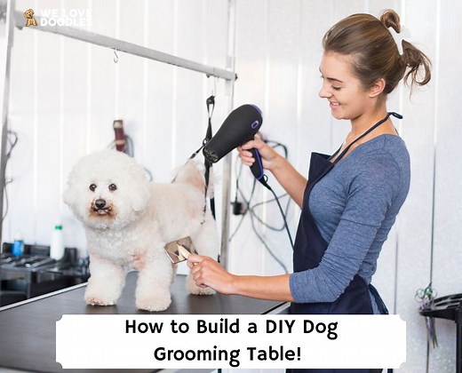 How to Build a DIY Dog Grooming Table! - We Love Doodles