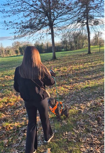 Première balade au parc depuis qu’on t’a récupéré. Tout n’est pas simple : Les autres chiens te font peur, te mettent en tension… Alors on s’adapte, on observe, on avance à ton rythme. On apprend le calme, le “au pied”, la confiance. Ce n’est pas parfait, mais c’est un pas après l’autre. Et malgré les difficultés, cette balade… c’était déjà une victoire. 🐾🤍#bouledoguefrançais #balade #confiance #challenge #chien